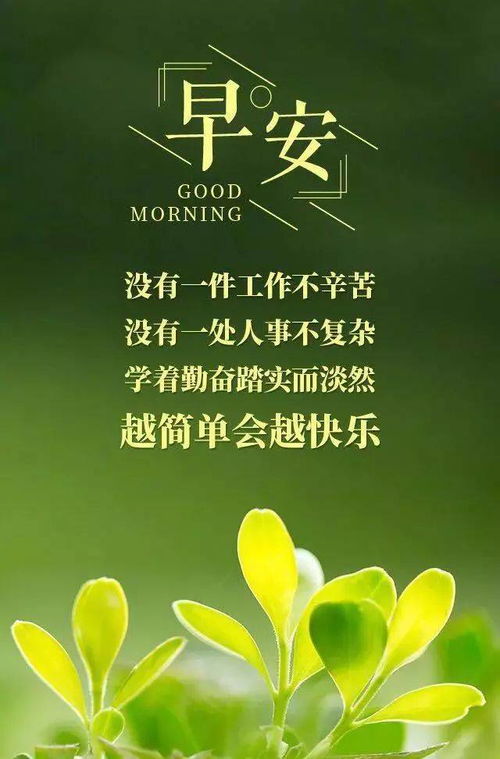 清晨怎样造句