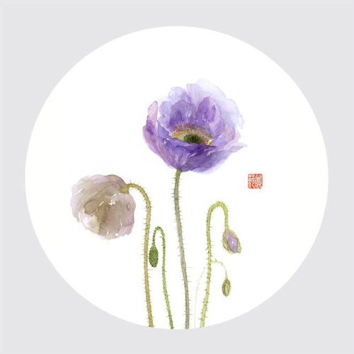 深居俯夹城,春去夏犹清.天意怜幽草,人间重晚晴.什么意思