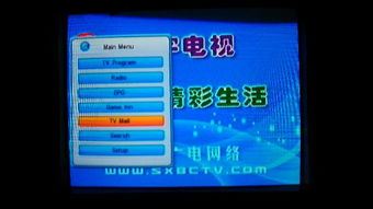 电视机英语单词怎么读?，television的英语发音