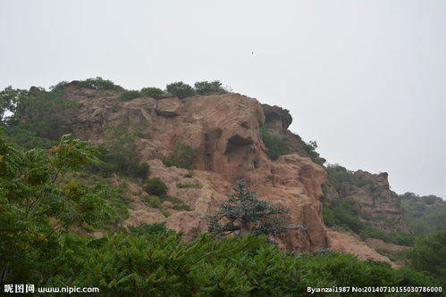 土山机场，土山己念什么