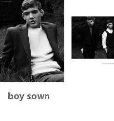 sown英语是什么意思，sowny英语是什么意思