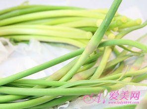 韭菜的英文是leek吗?可数吗?