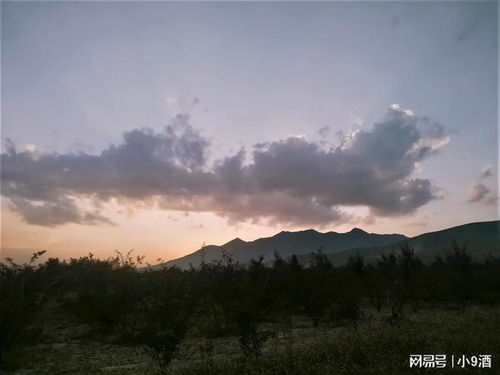 嵯峨山悟空塔守塔人，嵯峨山在哪里