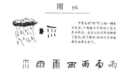 雨组词唯美，雨组词100个