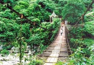 关岭县属于哪个市