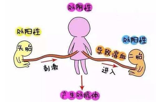 我是AB型Rh阳性,老婆O型,现在老婆都怀孕六个月了才知道“溶血儿
