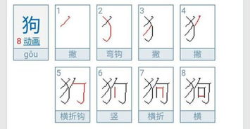 快笔顺笔画怎么写