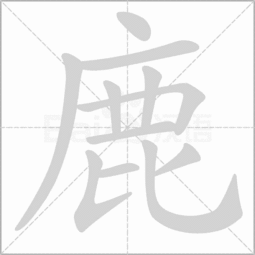 鹿的部首是广吗求解，鹿的部首是广吗?