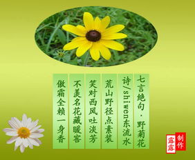 七言绝句的平仄格律一览表
