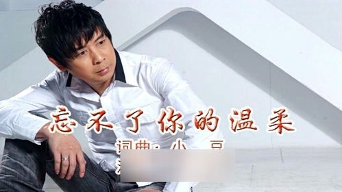 忘不了你的温柔,忘不了你是我的所有，忘不了你的温柔广场舞32步