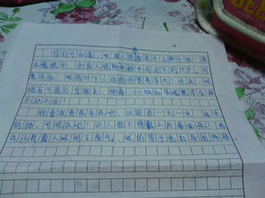 多想告诉你作文800字，多想告诉你作文300