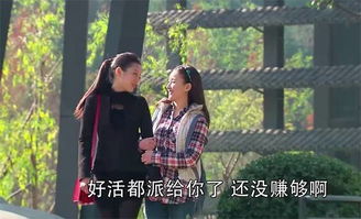 clearly什么意思中文翻译