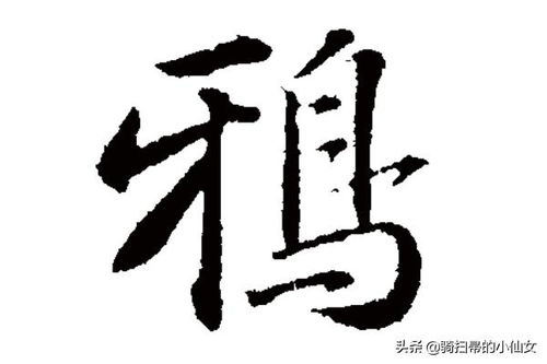 脉组词和拼音字，脉组词和拼音和部首是什么意思