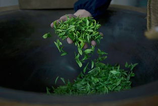 斗翠玄一十四，翡翠湖