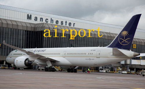 airport怎么读英语发音，at the airport怎么读