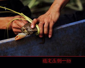 一蟹不如一蟹成语故事_成语“一蟹不如一蟹”的典故出处和主人公是谁