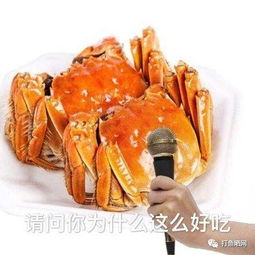 一蟹不如一蟹的意思是什么?