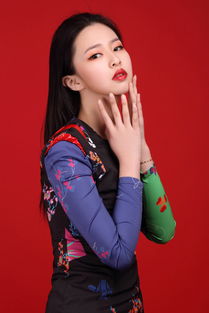 Fance是什么意思?