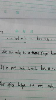 also造句简单而短，not only but also造句