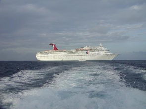 cruise什么意思