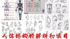 满的结构还有什么字，荡的结构和部首