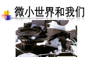人类探索微小世界的成果有哪些，人类探索微小世界的成果资料整理