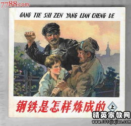 《钢铁是怎样炼成的》读后感400字作文