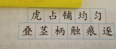 膝的拼音是什么?