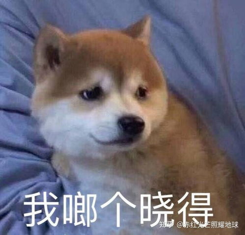 善良是什么意思解释，赤诚善良是什么意思