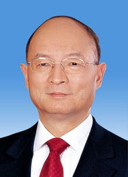 陈元先简历，陈元安简历