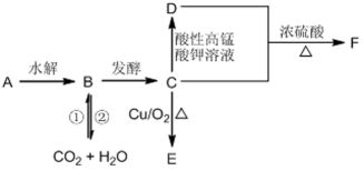 二氧化碳是有机物吗为什么，二氧化碳是有机物吗为什么不是无机