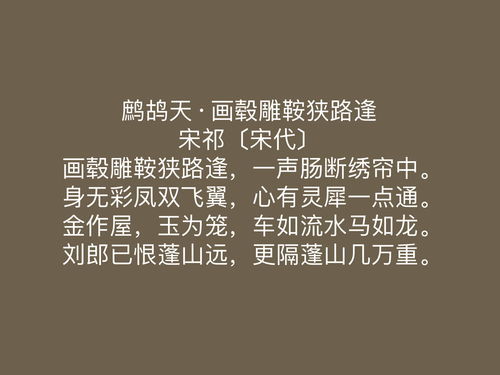 擅长的近义词和反义词，擅长的近义词奇特的近义词熏陶的近义词