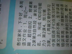 周记是什么格式，周记是什么格式图片