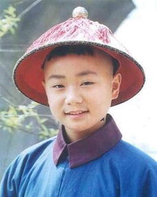 陈文杰历史原型，陈文杰是不是乾隆的儿子
