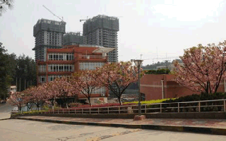 贵州财经大学地址