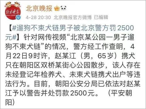 正惩罚和负惩罚例子老师怎么写，正惩罚和负惩罚概念