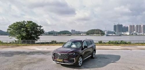 挚爱什么意思