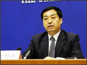 王野平行世界，王野平凡之路