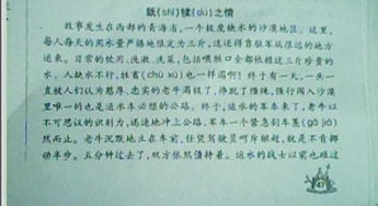 小学四年级语文阅读训练题