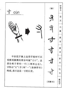 寸的部首是什么