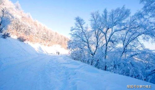 冰天雪地意思相近的词语，冰天雪地意思二年级