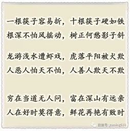 扬是什么意思