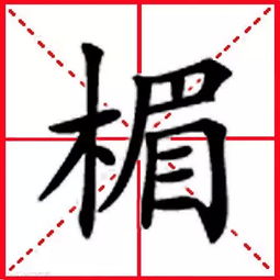 霉的组词
