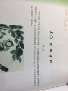 螳螂拼音怎么读，螳螂拼音怎么写的拼音怎么写