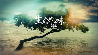 席慕蓉散文:生命的滋味