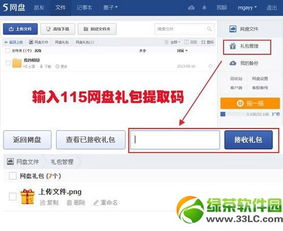 115网盘 标准提取码怎么用.?