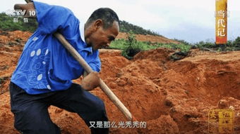 种树的牧羊人影评，种树的牧羊人电影