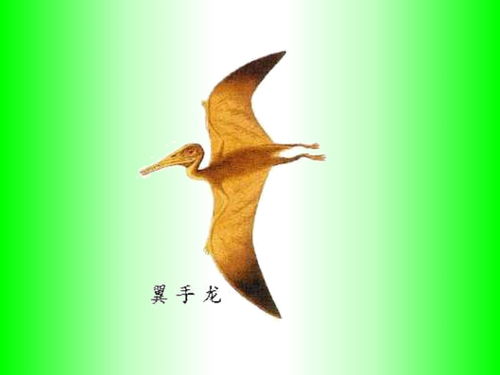 躲避同义词
