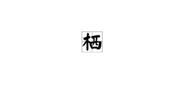 栖的意思解释，两栖的意思