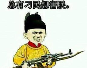 总有刁民想害朕的下一句是什么?